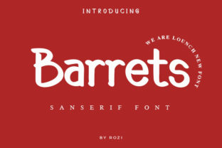 Barrets Font for Modern Web Design Projects