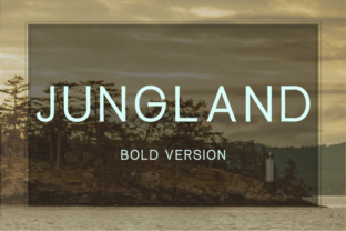 Jungland Bold Typeface for Brand Identity