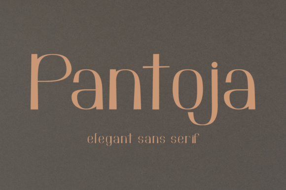 Pantoja: The Vintage Sans Serif Font for Web Design