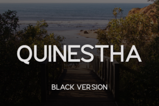 Quinestha Black: A Bold Sans Serif Typeface for Editorial Impact