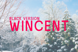 Wincent Black Typeface for Modern Web Design