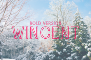 Wincent Outline Bold: The Ultimate Sans Serif for Modern Branding